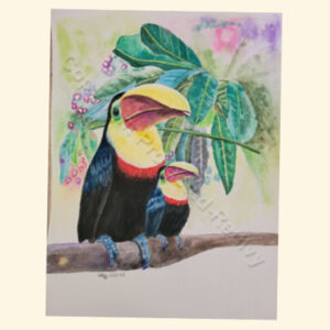 Toucans  Design