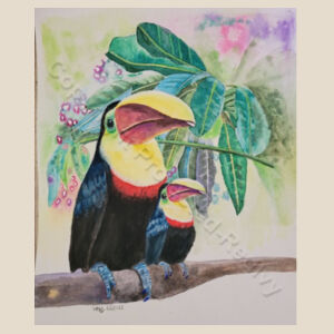 Toucans  Design