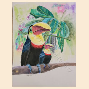 Toucan  Design