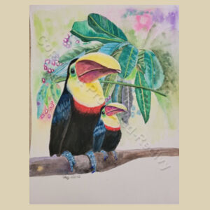 Toucans Design