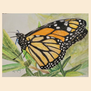 Monarch  Design