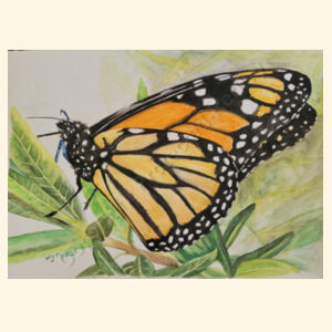 Monarch  Design