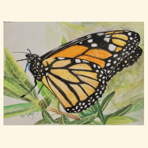 Monarch  Design