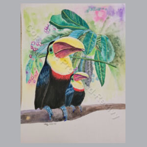Toucans  Design