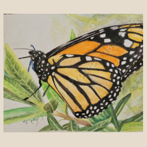 Monarch  Design