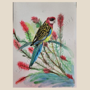 Rosella Design