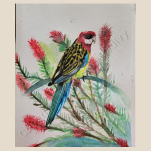 Rosella Design